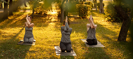 Park Yoga
